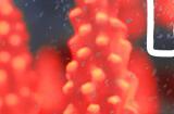 风格化科幻探索冒险游戏《巨大浪潮》现已登录Steam平台