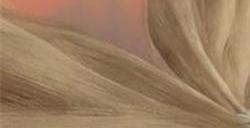 妄想山海巨兽怎么打 妄想山海巨兽打法攻略