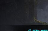《黎明觉醒:生机》70级武器选择攻略