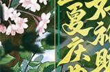 《放开那三国3》盛夏庆典 好礼助力