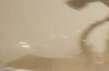 《燕云十六声》走火入魔一重解决方法介绍
