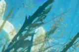 《黄金树幽影》获最佳DLC 宫崎感谢玩家确认正开发多个项目
