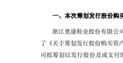 鞋王”跨界芯片失败！奥康国际终止收购芯片企业股权