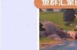原神鱼群多久刷新一次 原神鱼群几天刷新一次
