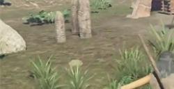 《灵魂面甲》地图怎么打开 开地图方法详情