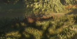 《猎人：荒野的呼唤》莱顿湖区动物有什么特点