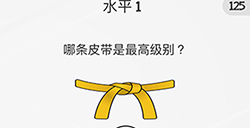 脑力游戏谜题第1关攻略  哪条皮带是最高级别