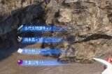 幻兽帕鲁没有床怎么办 幻兽帕鲁床建造方法