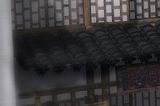 《天骄II》新区伏羲遗泽今日开启 多重福利助你畅游新服！