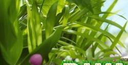 英国实体游戏销量榜：《皮克敏4》第一 《暗黑4》上榜