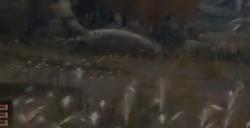 《艾尔登法环》群集灵庙黄金树的化身BOSS图鉴