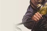 三国志战棋版阎柔值得培养吗