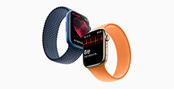 Apple Watch 国行版上线心电图 ECG 功能