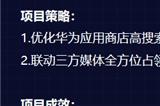 钛动案例|游戏出海如何接轨华为生态?多组合买量成就逆势增长