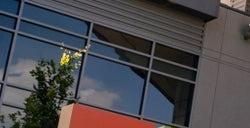 微软关闭了DEI部门 该部门负责人不满并抨击公司