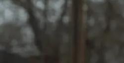 《猎人克莱文》北美改档12月13日上映