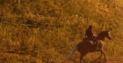 《荒野大镖客2》动物落基山脉公盘羊在哪里找