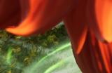 《幻兽帕鲁》汪宗师使用攻略分享