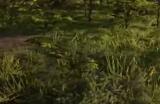 《荒野大镖客2》动物中部水蛇在哪里找