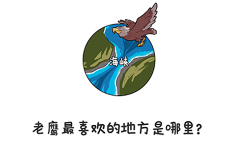 谐音梗挑战第13关攻略  老鹰最喜欢的地方是哪里