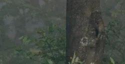 《最后的生还者》主创尼尔谈第6集：谎言重压下的人性之光