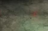 《暗喻幻想：ReFantazio》斯特罗尔阿基态特点介绍