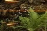 ARPG《Kristala》抢先体验版6月7日推出 化身猫战士