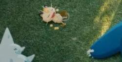 《pokemon sleep》卡在载入资料进不去 宝可梦sleep一直载入资料解决方法