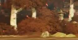 模拟游戏《花园生活》实机预告 2月23日正式发售