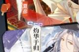 《未定事件簿》「飞雪落红尘」活动女神之影复刻 山河千里雪红尘一粟间