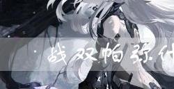 战双帕弥什FA2D AP好用吗