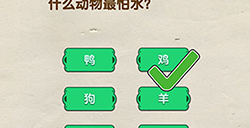 脑洞先生第57关攻略  什么动物最怕水