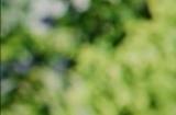 中国公司开始大量订购英伟达H20芯片 老黄赚嗨了
