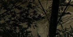 《黄金树幽影》太难引起公愤  国外玩家打造简单模式MOD