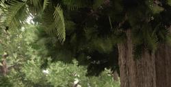 《上古卷轴4：湮灭重制版》莫拉格巴尔神殿完全攻略分享