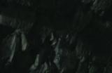 《上古卷轴4：湮灭重制版》木精灵捏脸分享
