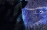 6月畅销总榜出炉 《艾尔登法环：黑夜君临》蝉联第一