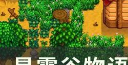 《星露谷物语》金鸡蛋怎么获得 金鸡蛋获取攻略