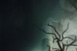 Steam周销榜：类魂合作射击游戏《遗迹2》大热登顶！