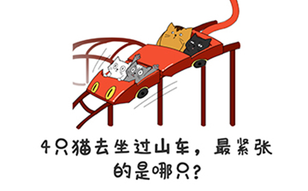 谐音梗挑战第8关攻略  4只猫去坐过山车最紧张的是哪只