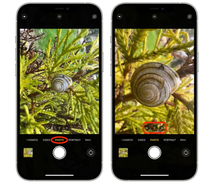 iPhone 13 Pro微距模式拍摄技巧-1.png