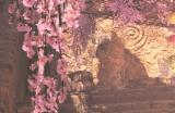 《怪猎：荒野》首只历战王“煌雷龙”解禁，新装备帅气强大