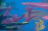 《蟹蟹寻宝奇遇》蜗牛圣殿壳子怎么获得