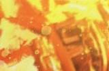 重生娱乐被取消的《星战》FPS首批细节曝光