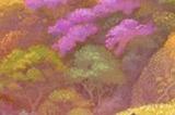 《圣剑传说》首发还将登陆Game Pass