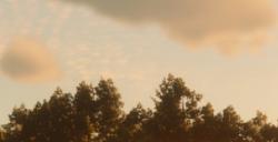 《荒野大镖客2》游戏土匪7挑战怎么快速刷钱