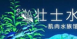 沙盒放置游戏《壮士水族馆：肌肉水族馆模拟器》5月29日正式推出