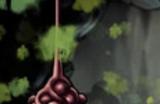 《鸦之咒誓》下载安装教程介绍