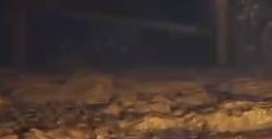 《艾尔登法环》利耶尼亚结晶人BOSS图鉴