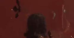 《光与影：33号远征队》春意原野全收集攻略分享